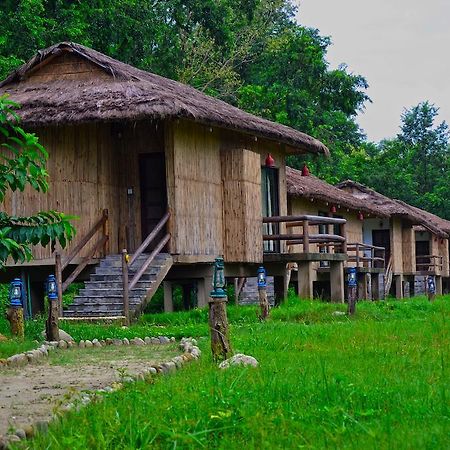 Temple Tiger Green Jungle Resort Kawasoti Quarto foto
