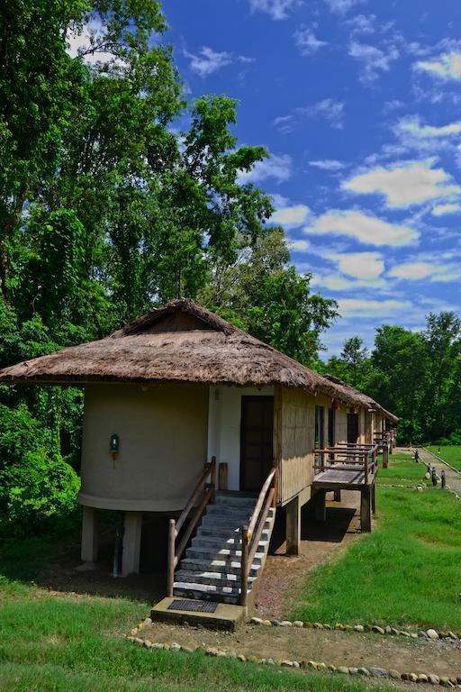 Temple Tiger Green Jungle Resort Kawasoti Quarto foto